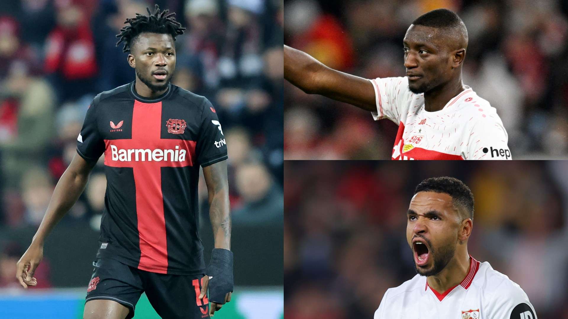 定了细致的 定了细致的